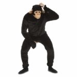 Fato Macaco Chimpanzé Adulto
